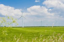 Allemagne, Schleswig-Holstein, Vue des éoliennes sur champ vert — Photo de stock