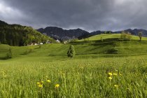 Chaîne de montagnes Karawanks, village de Zell-Pfarre, Carinthie, Autriche — Photo de stock