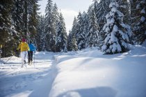 Austria, Salzburg Country, Altenmarkt-Zauchensee, Young couple cross-country skiing — Stock Photo