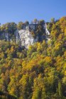 Germany, Baden-Wuerttemberg, Swabian Alb, Bruehltal in autumn during daytime — Stock Photo