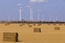 Deutschland, sachsen-anhalt, magdeburg boerde, stoppelfeld mit strohballen und windpark im hintergrund — Stockfoto