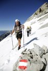 Austria, Tyrol, Karwendel mountains, Mountaineers crossing snowfield — Stock Photo
