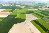 Paisagem de campos agrícolas panorâmicos da Renânia-Palatinado, Alemanha — Fotografia de Stock