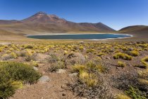 Sudamerica, Cile, deserto di Atacama, Laguna Miniques, sullo sfondo Ande — Foto stock