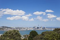 Nuova Zelanda, Sky Tower ad Auckland e skyline — Foto stock