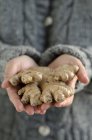 Hands holding ginger root, close-up — Stock Photo