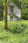 Svizzera, Formazione di erba profonda e casetta in granito — Foto stock
