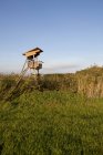 Germania, Baviera, Veduta del nascondiglio per cacciatore sull'erba — Foto stock