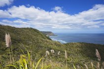 Nouvelle-Zélande, Piha Beach avec Lion Rock, Nun Rock et la côte ouest — Photo de stock