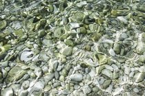 Хорватія, Середземне море, океан, галька на землю — стокове фото