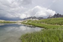 Italy, Dolomites, Tre Cime di Lavaredo, view of lake with grass and plants on shore — Stock Photo