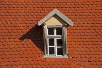 Part of a roof with dormer and beaver tail tiles — Stock Photo