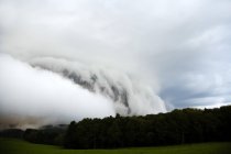 Дощ хмари над лісу в Windeck, Німеччина — стокове фото