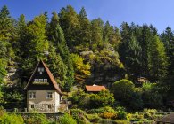 Німеччина, Саксонії, саксонської Швейцарії-Схід Рудні гори, Raeumicht, переглянути будинку проти дерева в лісі — стокове фото