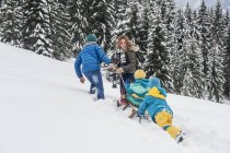 Австрия, Островах, Островах, Островах, Семья гуляет по снегу, тянет санки — стоковое фото
