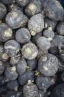 Close-up of fresh beetroots in heap at farmer market — Stock Photo