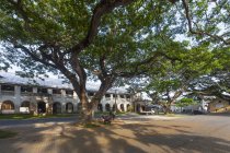 Sri Lanka, Pettigalawatta, Galle, Palacio de Justicia exterior y árboles - foto de stock