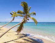 View of tropical beach with palm trees at daylight, Dominican Republic — Stock Photo