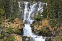 Canadá, Alberta, Jasper National Park, Tangle Creek Falls — Fotografia de Stock