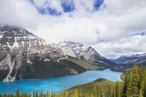 Canada, Alberta, Banff National Park, Peyto Lake visto da Bow Summit — Foto stock