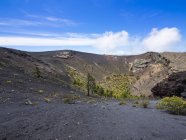 España, Islas Canarias, La Palma, Fuencaliente, Cráter San Antonio, Islas Canarias Pinos, Pinus canariensis - foto de stock
