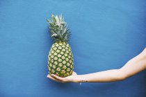 Main féminine tenant l'ananas — Photo de stock