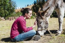 Mature woman stroking donkey  outdoors — Stock Photo