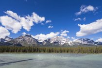Canadá, Alberta, Jasper National Park, Banff National Park, Icefields Parkway, Athabasca River - foto de stock