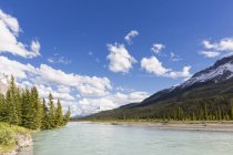 Canada, Alberta, Jasper National Park, Banff National Park, Icefields Parkway, vista sul fiume — Foto stock