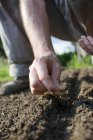 Germany, North Rhine-Westphalia, Petershagen, Man in a garden sowing land cress — Stock Photo