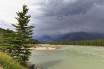 Canadá, Alberta, Parque Nacional Jasper, Rio Athabasca em frente às Montanhas Rochosas — Fotografia de Stock