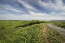 View of typical landscape with dirt track near Siena at Province of Siena, Tuscany, Italy, — Stock Photo