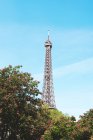 Francia, París, Torre Eiffel entre los árboles florecientes en un día soleado con cielo azul - foto de stock