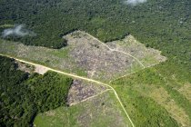 Talado y quemado selva amazónica, Brasil, Para, Itaituba - foto de stock