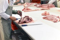 Trasformazione delle carcasse di suino in un macello — Foto stock