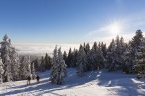 Germania, Baviera, Maturo uomo e donna escursioni su Grosser Arber — Foto stock