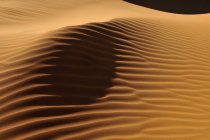 Algérie, Vue sur les dunes de sable à Erg Tihoulahoun pendant la journée — Photo de stock