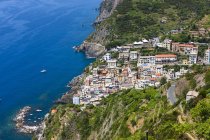 Italie, Ligurie, Cinque Terre, Riomaggiore, vue sur les maisons sur colline sur l'eau — Photo de stock