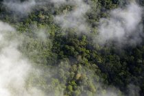 Selva Amazónica y nubes, Brasil, Para - foto de stock