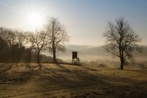 Germany, North Rhine-Westphalia, Bergisches Land,  landscape with raised hide at morning mist — Stock Photo