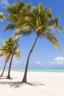 Vista de la playa tropical con palmeras a la luz del día, República Dominicana - foto de stock