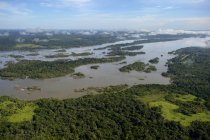 Дождевые леса Амазонки и река Рио Табахос, Бразилия, Пара, Итаитуба — стоковое фото