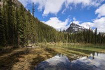 Canada, British Columbia, Yoho Nationalpark, Lake O'Hara e Yukness Mountain — Foto stock