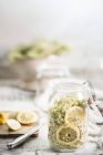 Preservar frasco de flores de saúco, Sambucus nigra, rodajas de limón y azúcar para hacer flor de saúco cordial - foto de stock