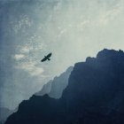 Іспанія, Канарські острови, Ла-Пальма, кальдери de Taburiente, гірських схилів в туман — стокове фото
