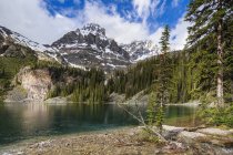 Canada, Colombie-Britannique, parc national Yoho, lac O'Hara et mont Huber — Photo de stock