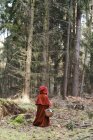 Kleines Mädchen verkleidet sich als Rotkäppchen im Wald — Stockfoto