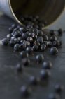 Bleuets frais avec plat en métal — Photo de stock