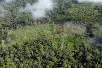 Talado y quemado selva amazónica, Brasil, Para, Itaituba - foto de stock