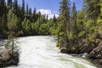 Canada, Columbia Britannica, Wells Gray Provincial Park, Murtle River — Foto stock